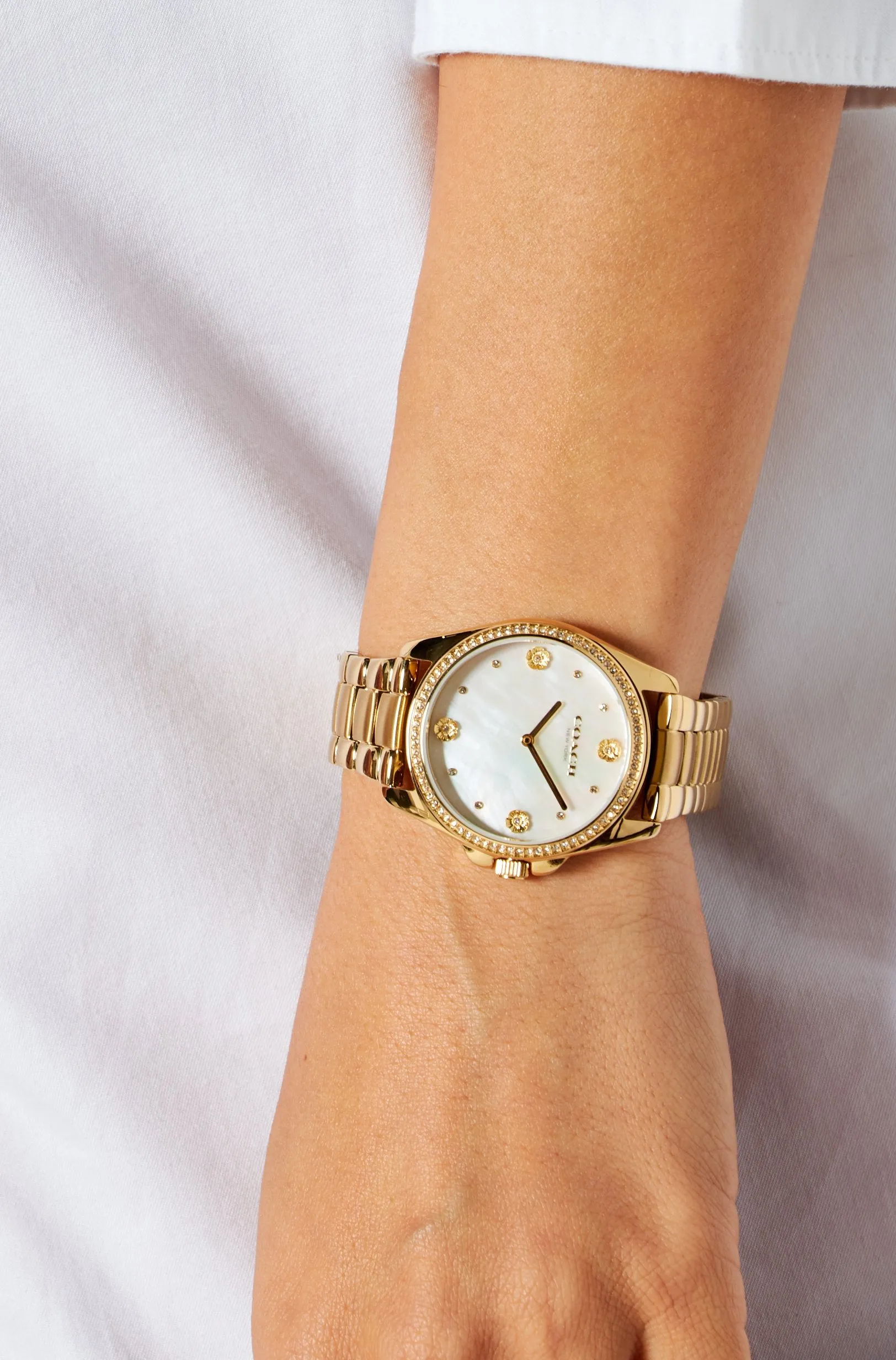 C.O.A.C.H  Ladies Greyson Watch