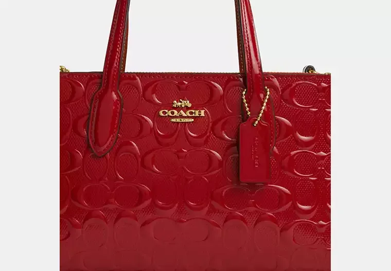 C.O.A.C.H Nina Small Tote Bag In Signature Leather