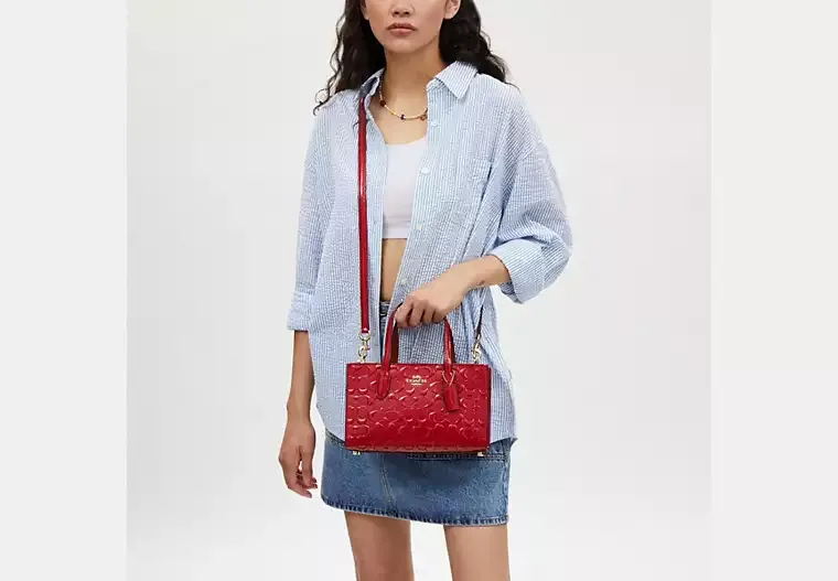 C.O.A.C.H Nina Small Tote Bag In Signature Leather