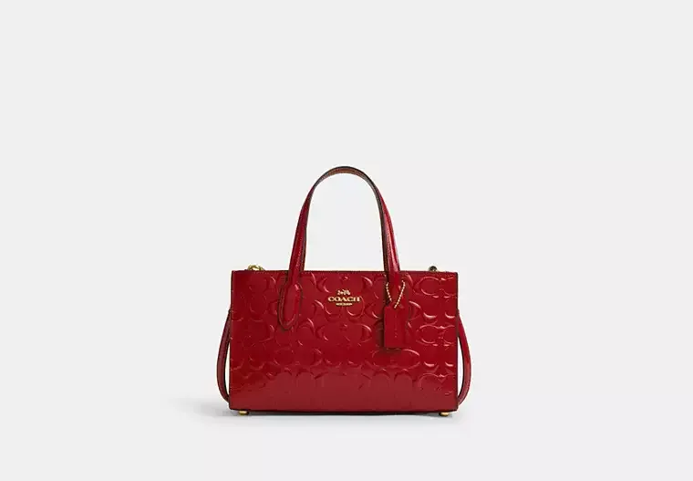 C.O.A.C.H Nina Small Tote Bag In Signature Leather