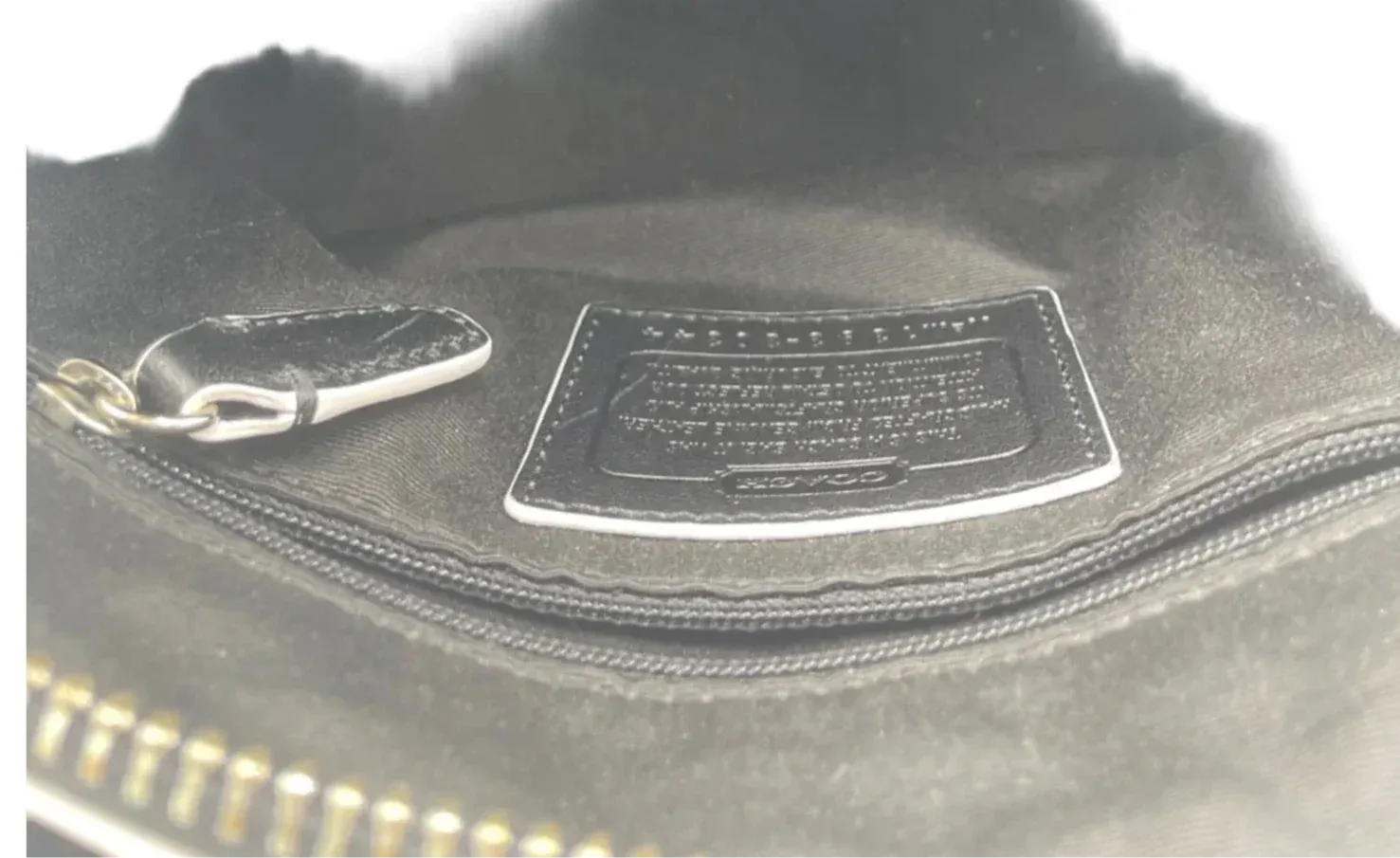 Handbag Designer By Coach