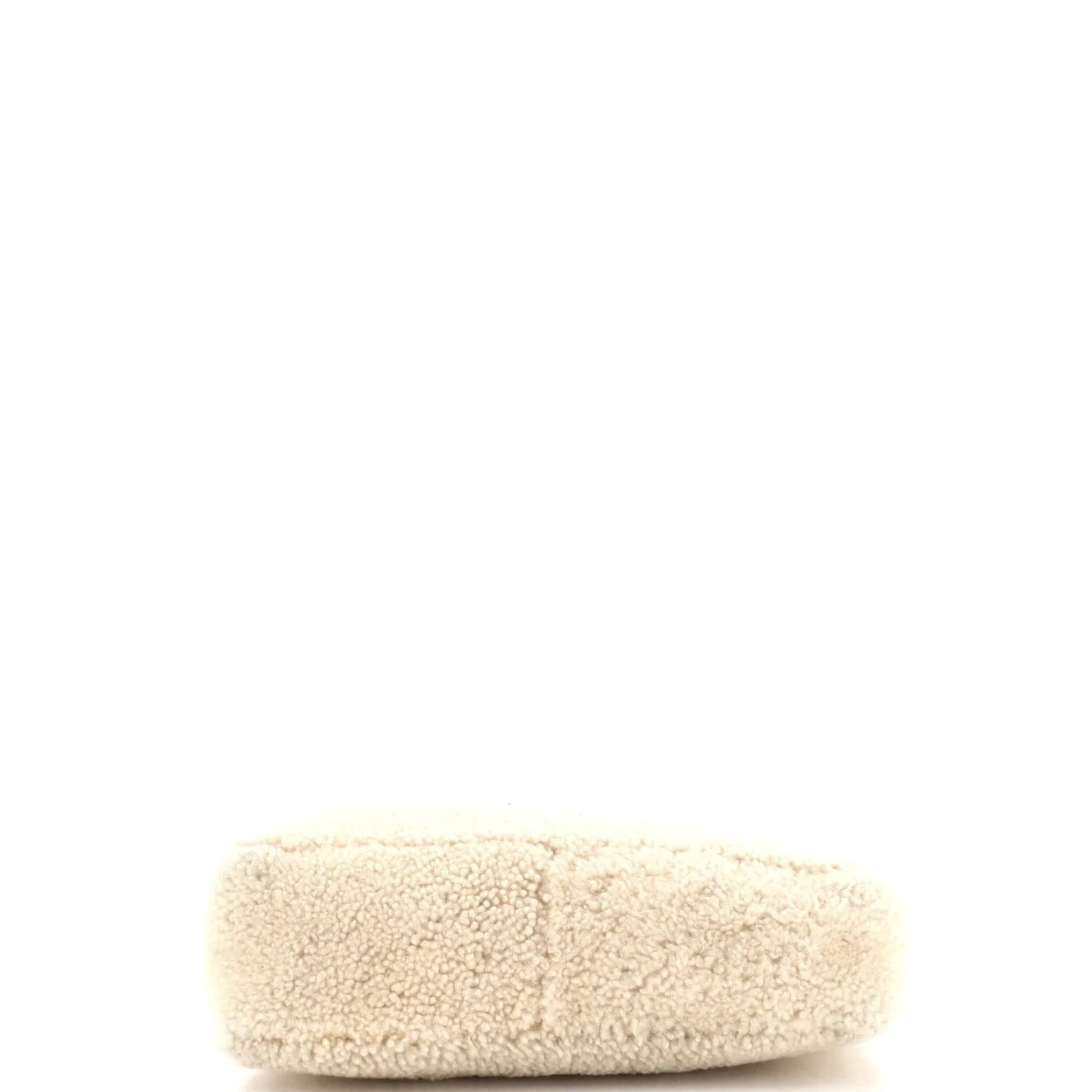 Re-Edition 2000 Hobo Shearling Mini